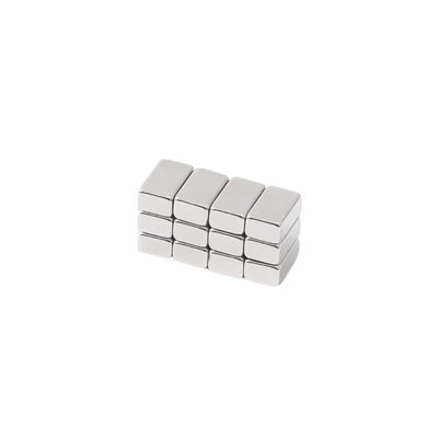 Croco Mini Magnet Set | The BLOOOM