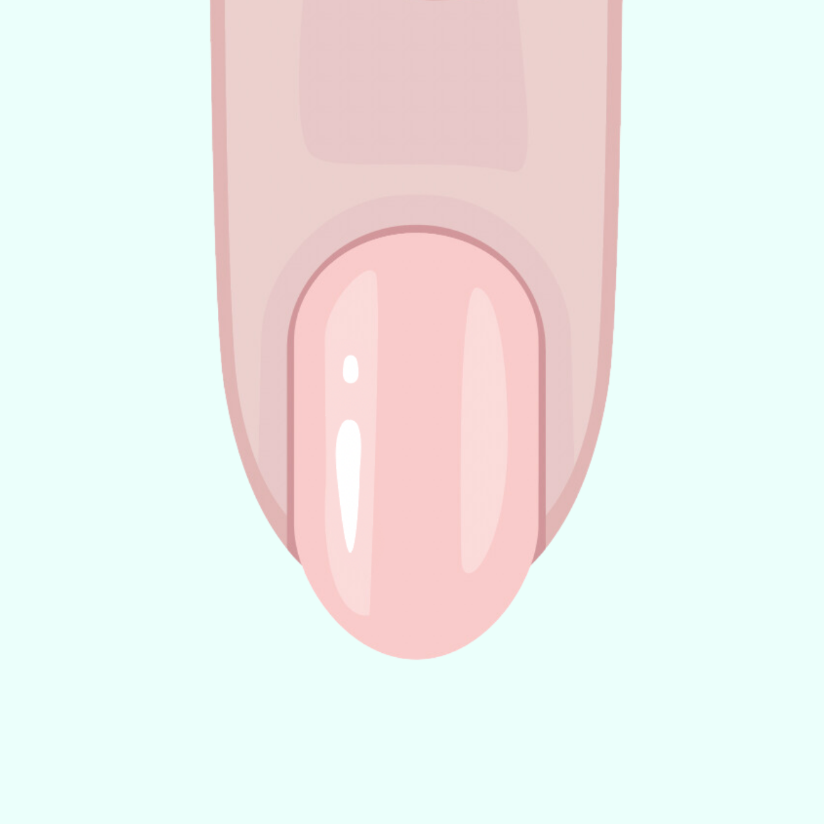 BIAB class zondag 29-06-2025 (geen e-manicure) | The BLOOOM Academy