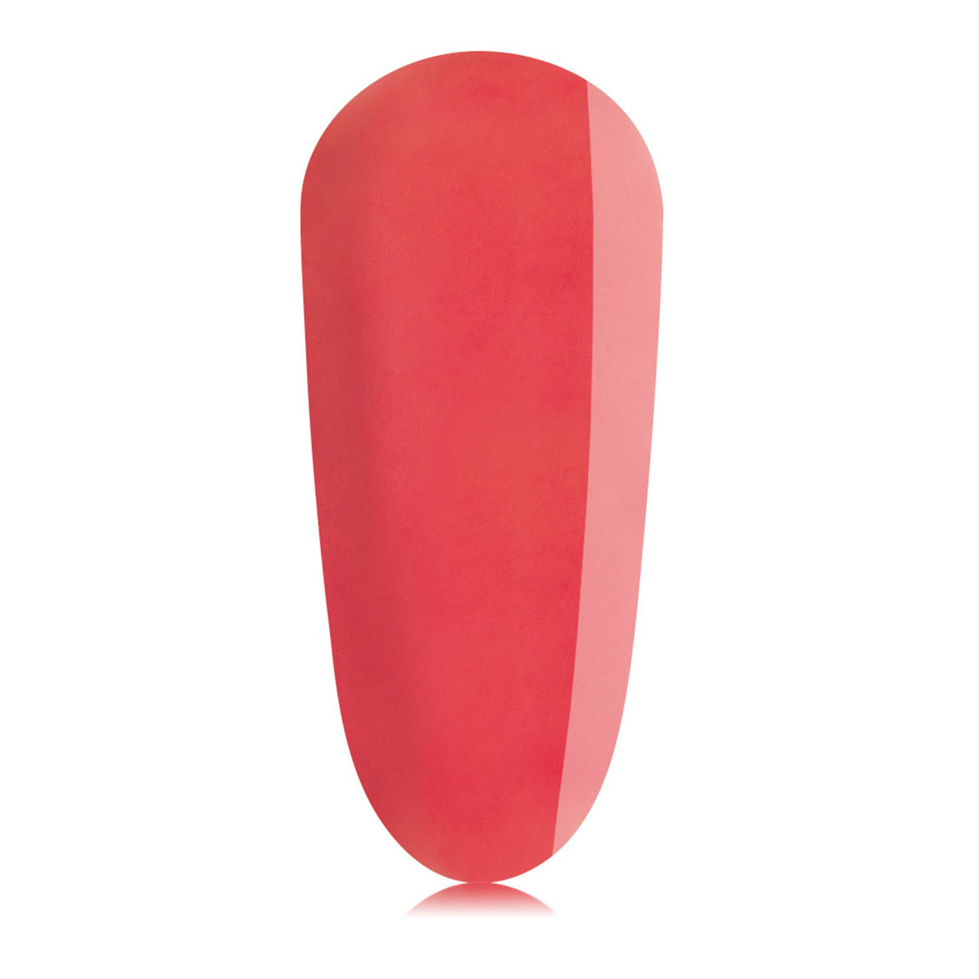 Passionate BIAB™ - TPO vrij | The GelBottle