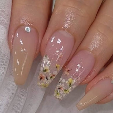 Nudi Gel Birsch Nailbayo DOI | Nailbayo