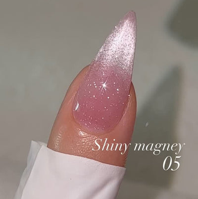 NAILBAYO DOI Shiny Magnet 05 | Nailbayo