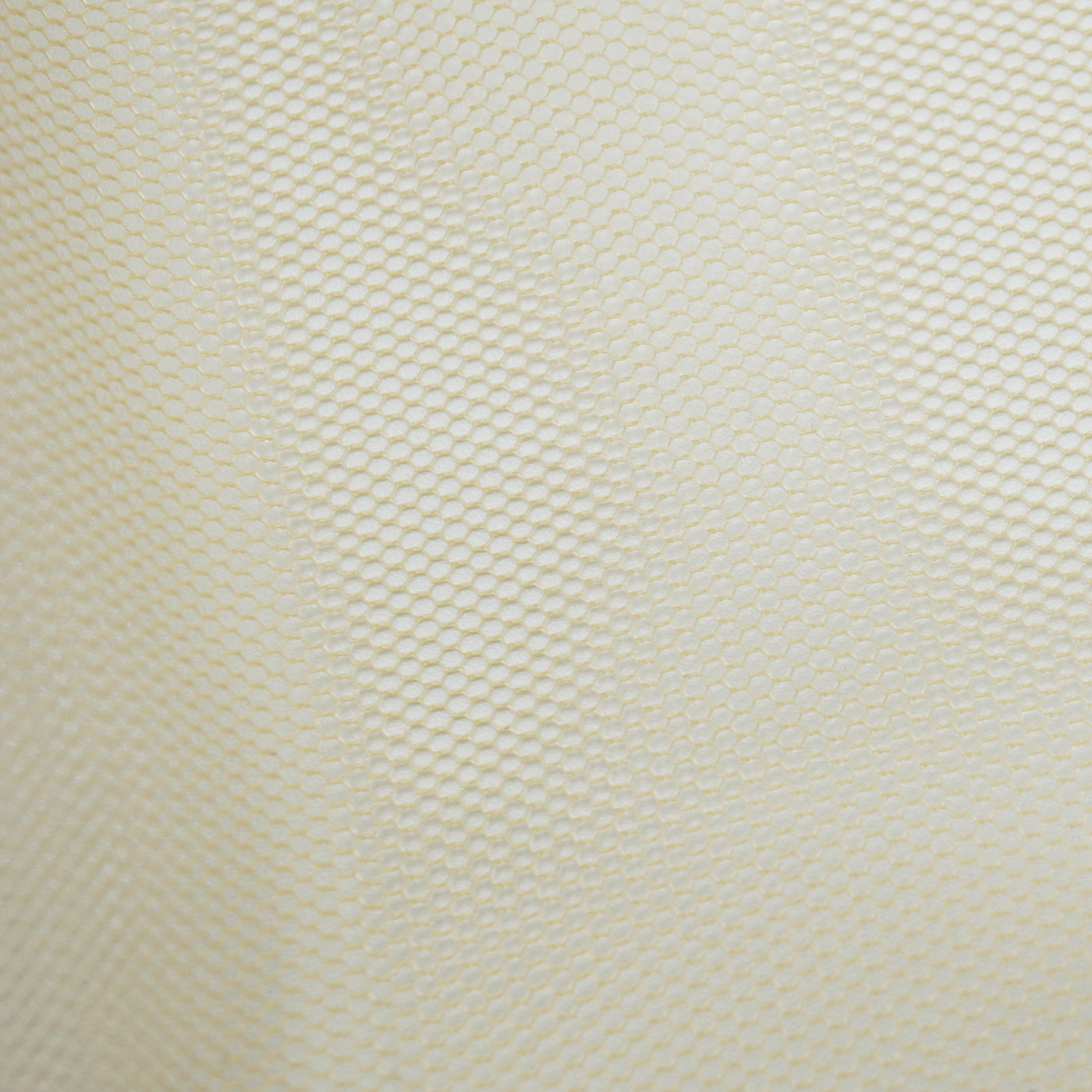 Nail art netting - FLAXEN | The Blooom